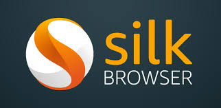 How to Download & Install Silk Browser on Fire TV/Firestick [2021