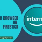 silk browser on Firestick