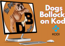 How to Install The Dogs Bollocks on Kodi / Firestick