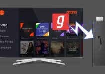 How to Add and Stream Gaana on Firestick