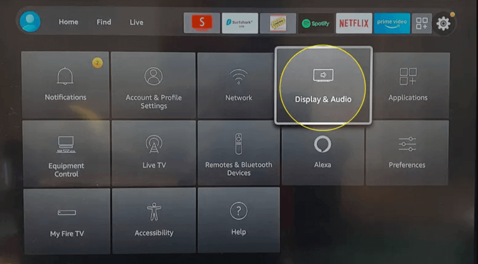 Display & Audio option on the app