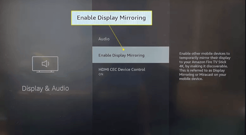 Enable Display Mirroring option in the app