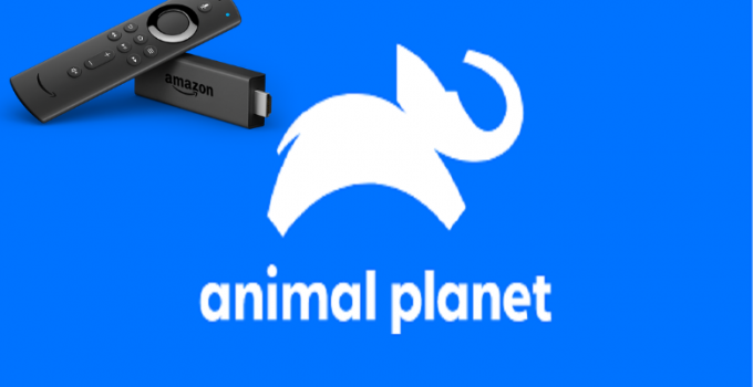 Animal Planet on Firestick: Install, Activate & Watch [2022]