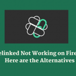 Filelinked Not Working on Firestick