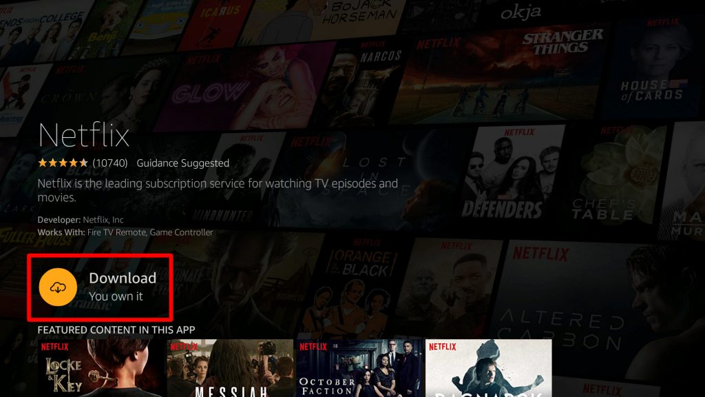 Reinstall Netflix app to fix the not working issue.
