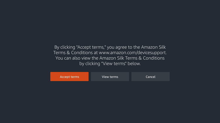 Accept Amazon Silk Browser's terms and conditions.